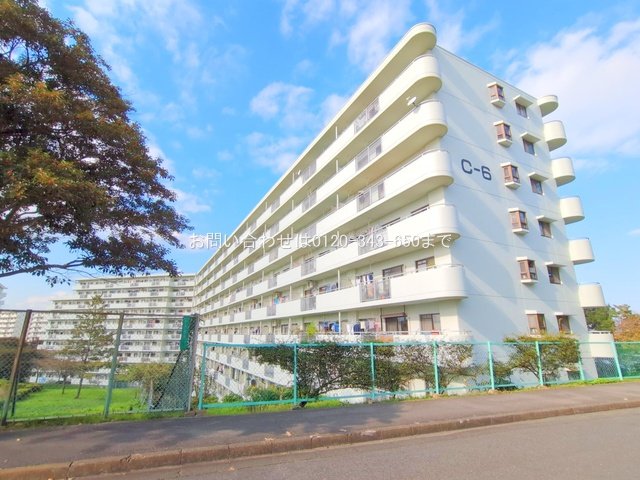 撮影日(2024-11-12 00:00:00)