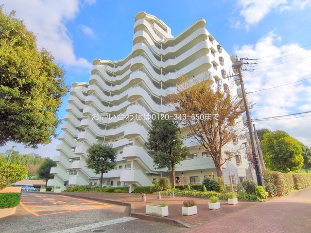 撮影日(2024-11-12 00:00:00)