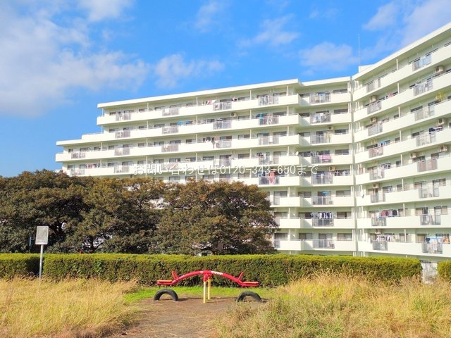 撮影日(2024-11-12 00:00:00)