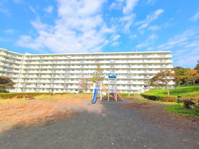 撮影日(2024-11-12 00:00:00)