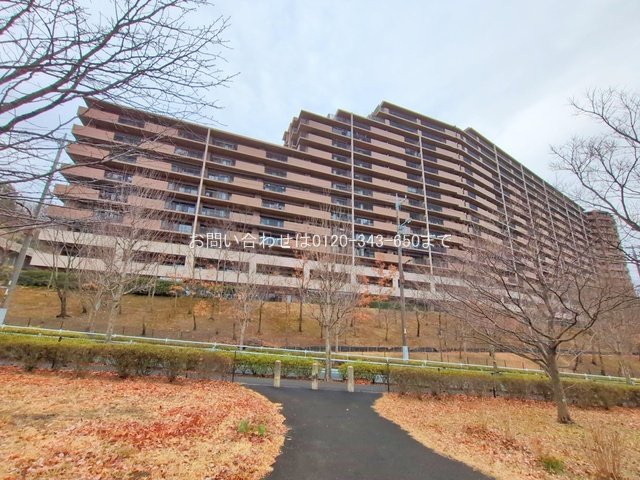 撮影日(2025-03-04)