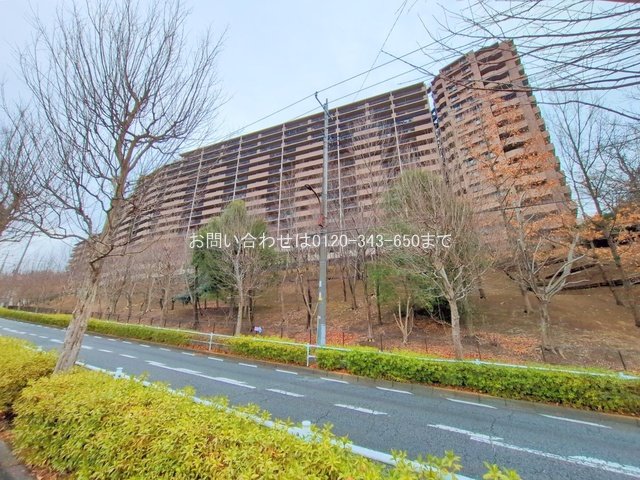 撮影日(2025-03-04 00:00:00)