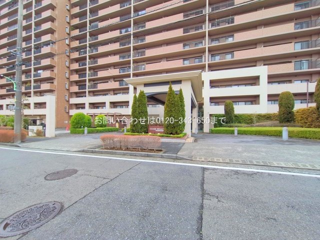 撮影日(2025-03-04 00:00:00)