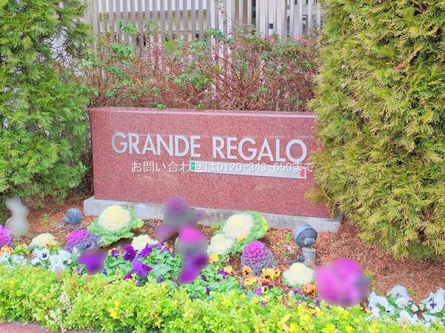 撮影日(2025-03-04 00:00:00)