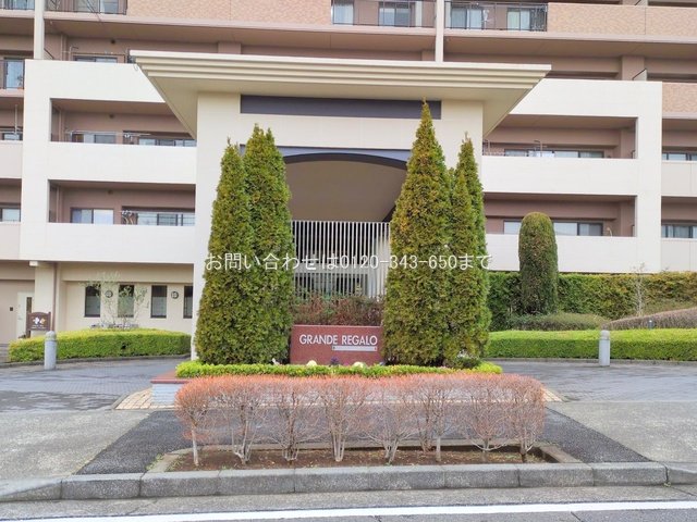 撮影日(2025-03-04)