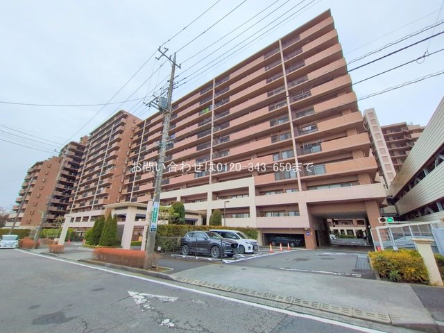 撮影日(2025-03-04 00:00:00)