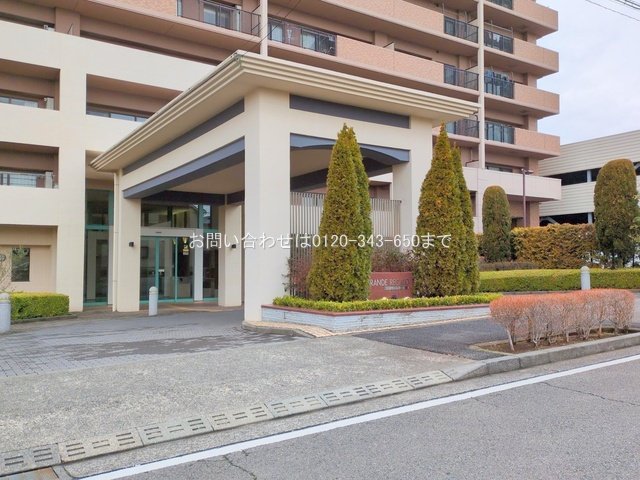 撮影日(2025-03-04 00:00:00)