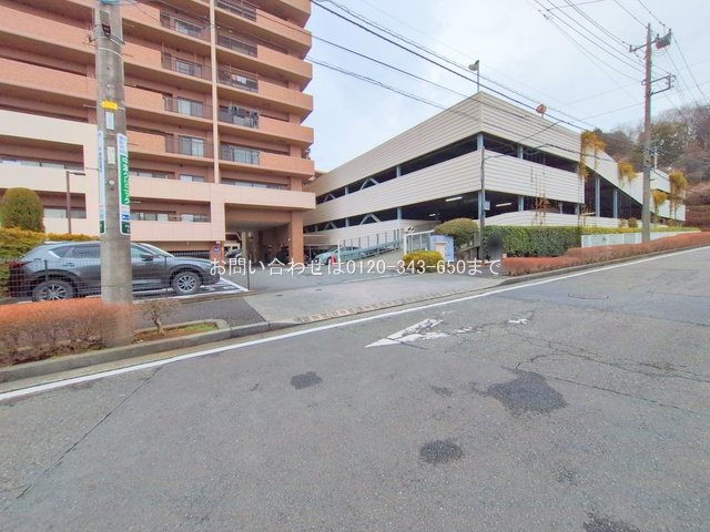 撮影日(2025-03-04 00:00:00)