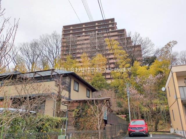 撮影日(2025-03-04 00:00:00)