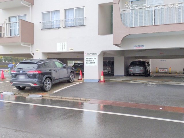 撮影日(2025-03-05 00:00:00)