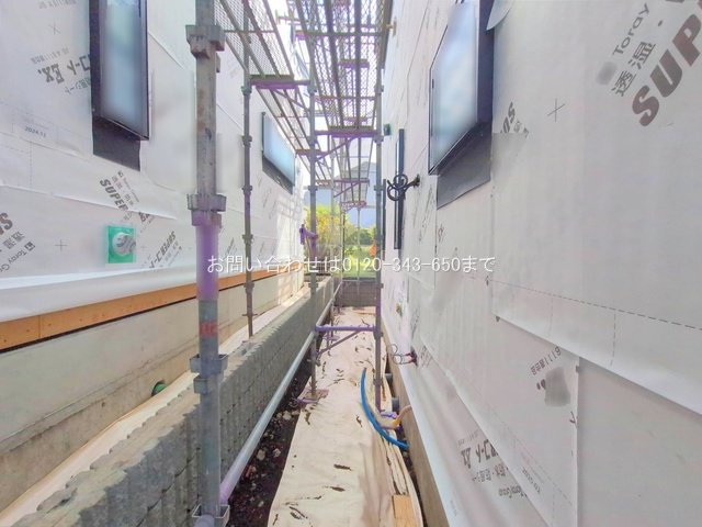 撮影日(2025-10-29 00:00:00)