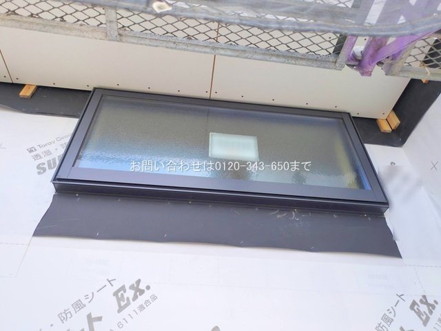 撮影日(2025-10-29 00:00:00)