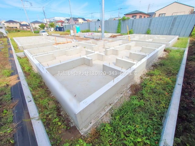 撮影日(2025-10-08 00:00:00)