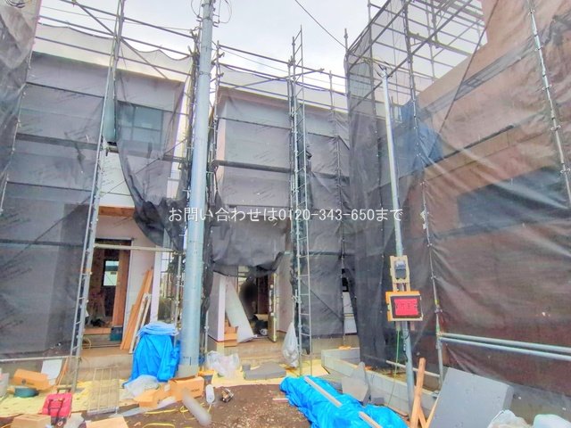 撮影日(2025-10-31 00:00:00)