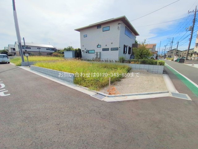 撮影日(2025-10-08 00:00:00)