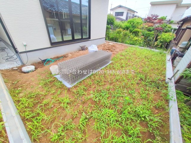 撮影日(2025-07-02 00:00:00)