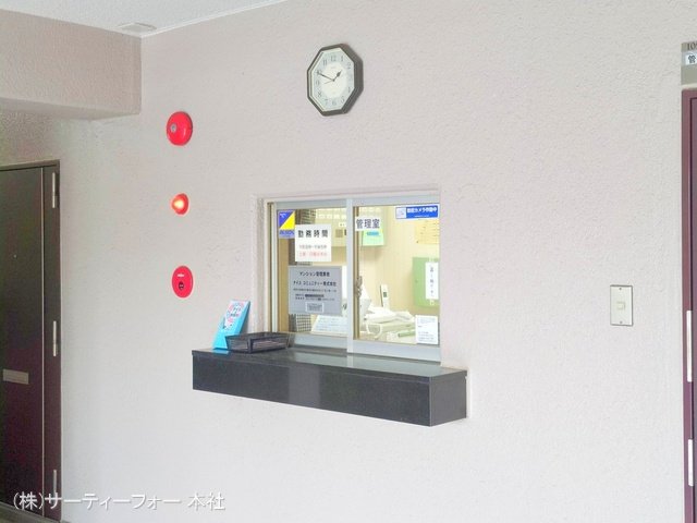 撮影日(2025-03-11 00:00:00)