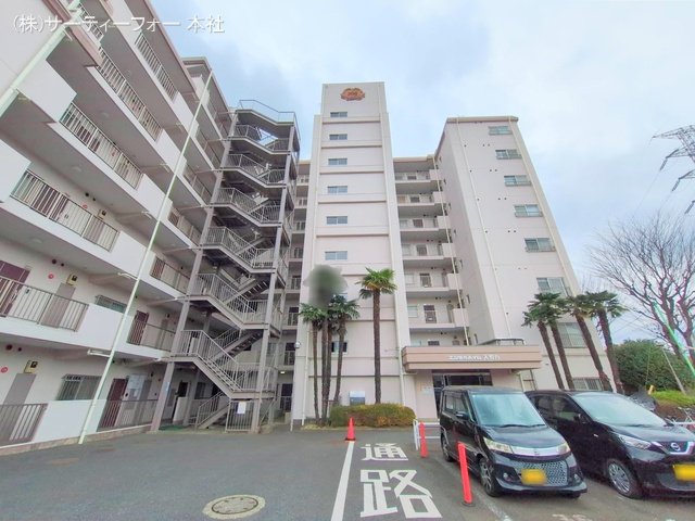 撮影日(2025-03-11 00:00:00)
