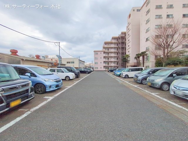 撮影日(2025-03-11 00:00:00)