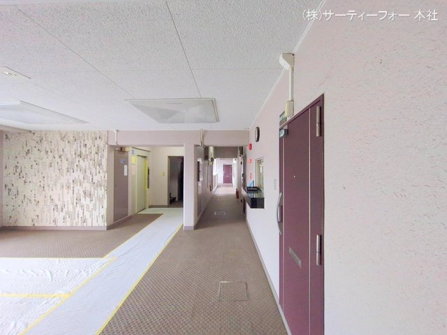 撮影日(2025-03-11 00:00:00)