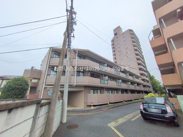 撮影日(2025-10-22)