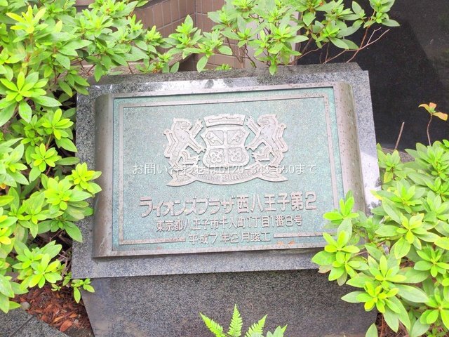 撮影日(2025-10-22 00:00:00)