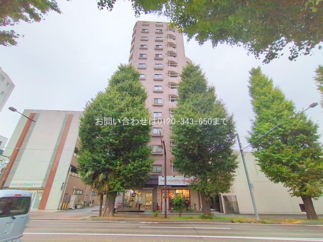 撮影日(2025-10-22 00:00:00)