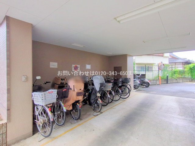 撮影日(2025-10-22 00:00:00)