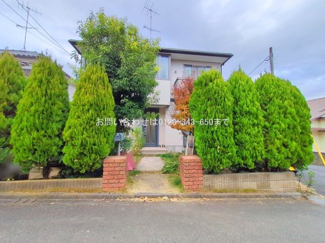 撮影日(2025-11-27 00:00:00)