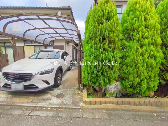 撮影日(2025-11-27 00:00:00)