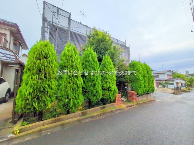 撮影日(2025-10-23 00:00:00)