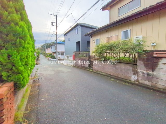 撮影日(2025-10-23 00:00:00)