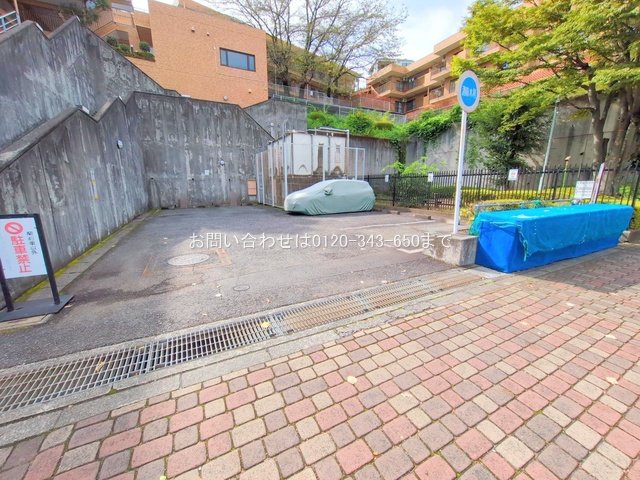 撮影日(2025-10-23 00:00:00)