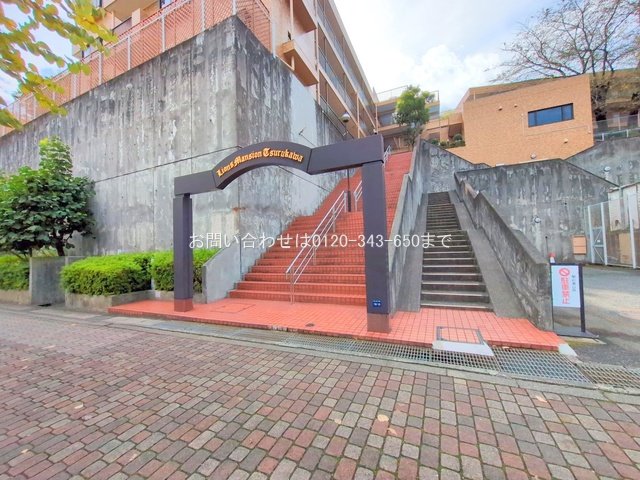 撮影日(2025-10-23 00:00:00)