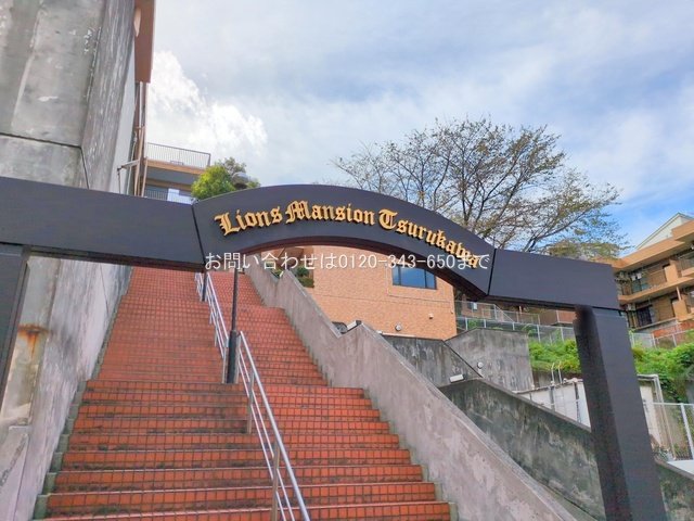 撮影日(2025-10-23 00:00:00)