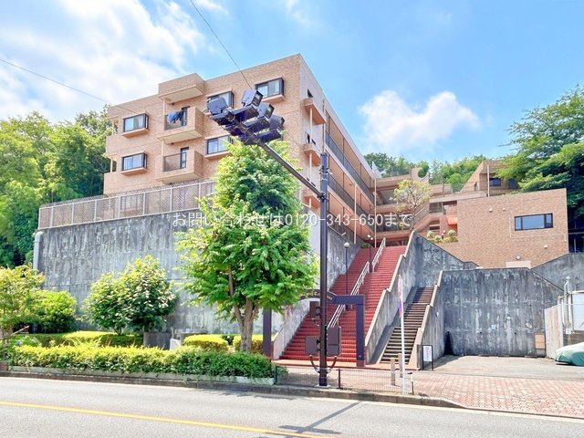 撮影日(2024-07-04 00:00:00)