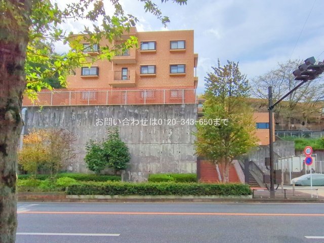 撮影日(2025-10-23 00:00:00)