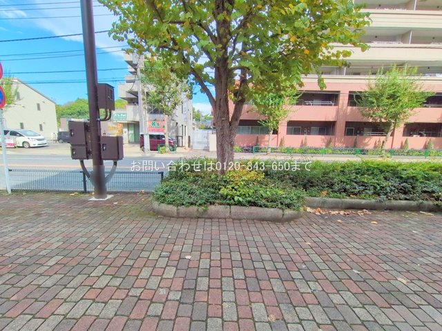 撮影日(2025-10-23 00:00:00)