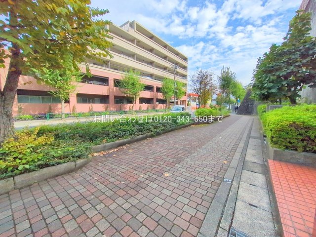 撮影日(2025-10-23 00:00:00)