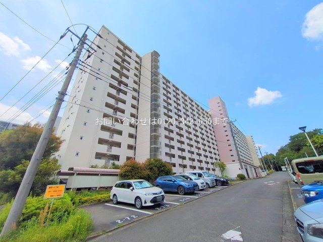 撮影日(2025-05-13)