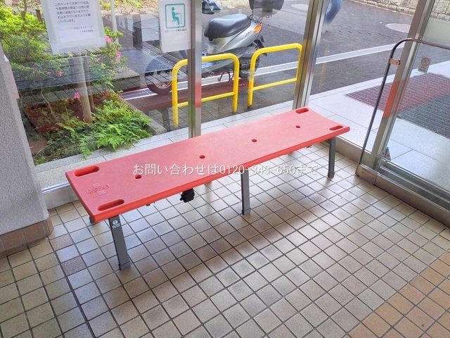 撮影日(2025-05-13 00:00:00)