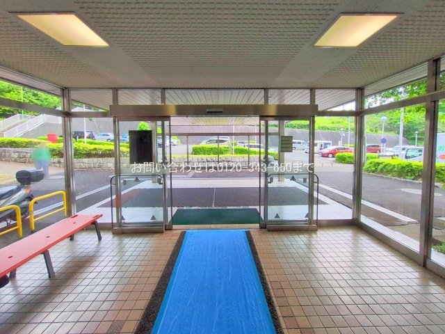 撮影日(2025-05-13 00:00:00)