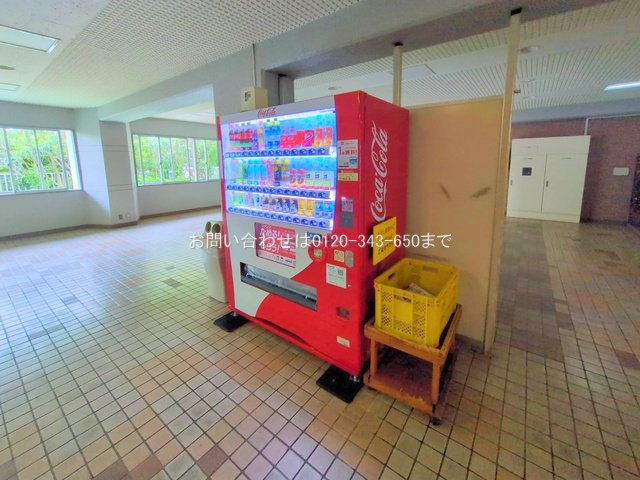 撮影日(2025-05-13 00:00:00)