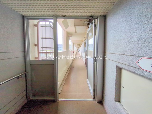 撮影日(2025-05-13 00:00:00)