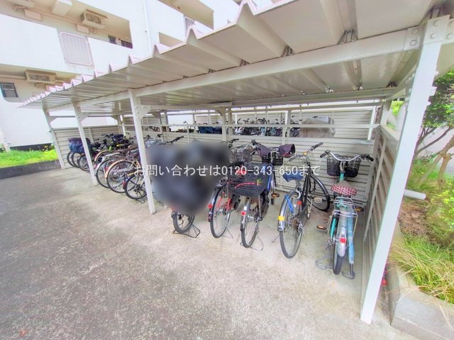 撮影日(2025-05-13 00:00:00)