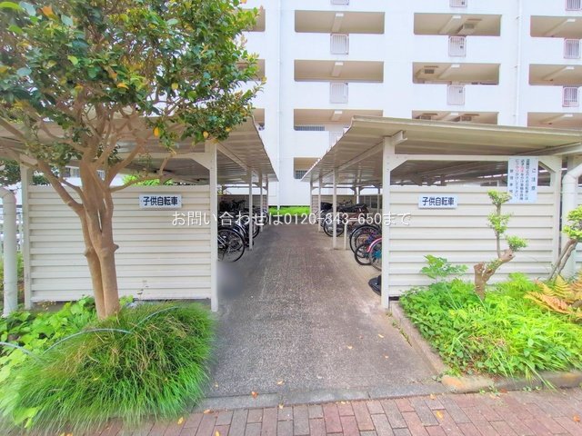 撮影日(2025-05-13 00:00:00)