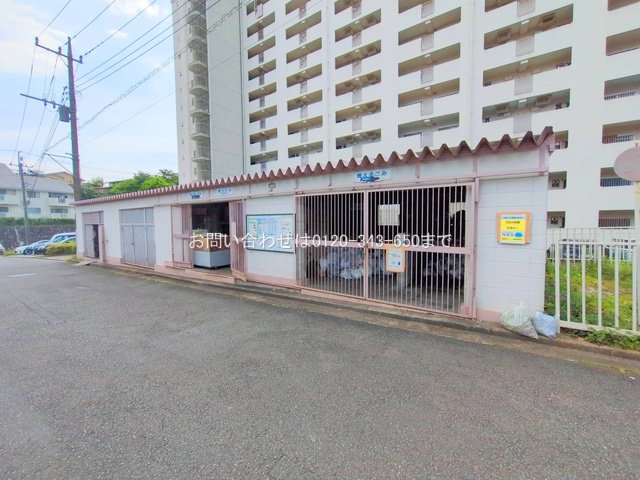 撮影日(2025-05-13 00:00:00)