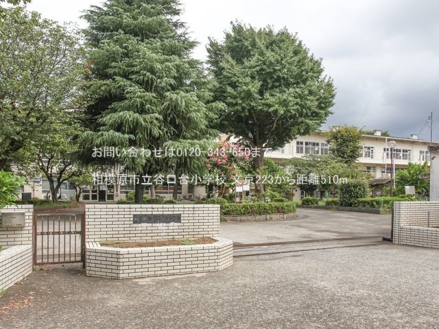 相模原市立谷口台小学校 撮影日(2024-08-22) 510m