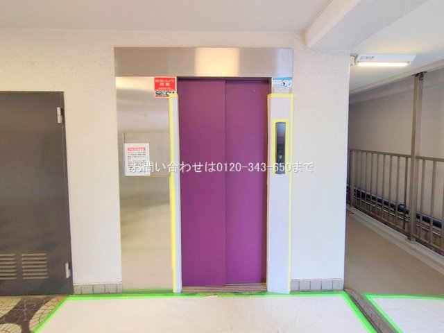 撮影日(2025-10-29 00:00:00)