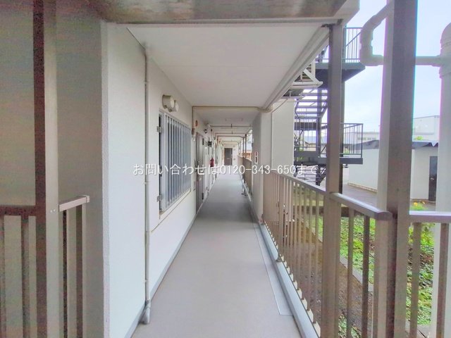 撮影日(2025-10-29 00:00:00)